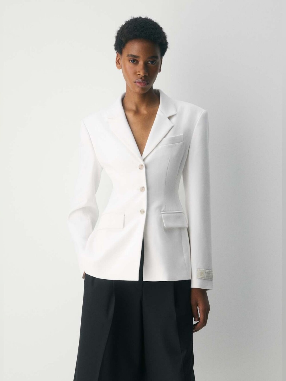 Aritzia Standout Blazer